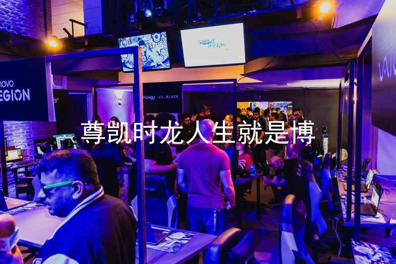 尊凯时龙人生就是博