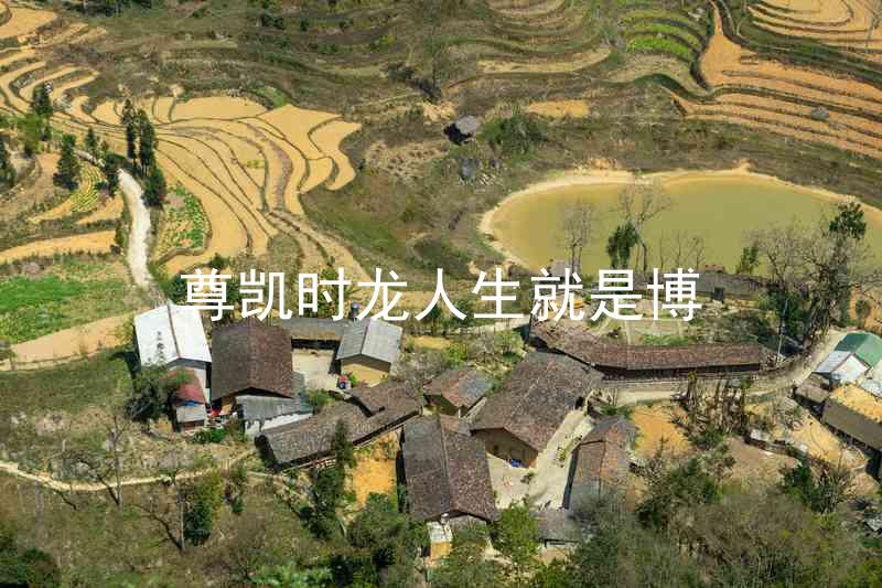 尊凯时龙人生就是博