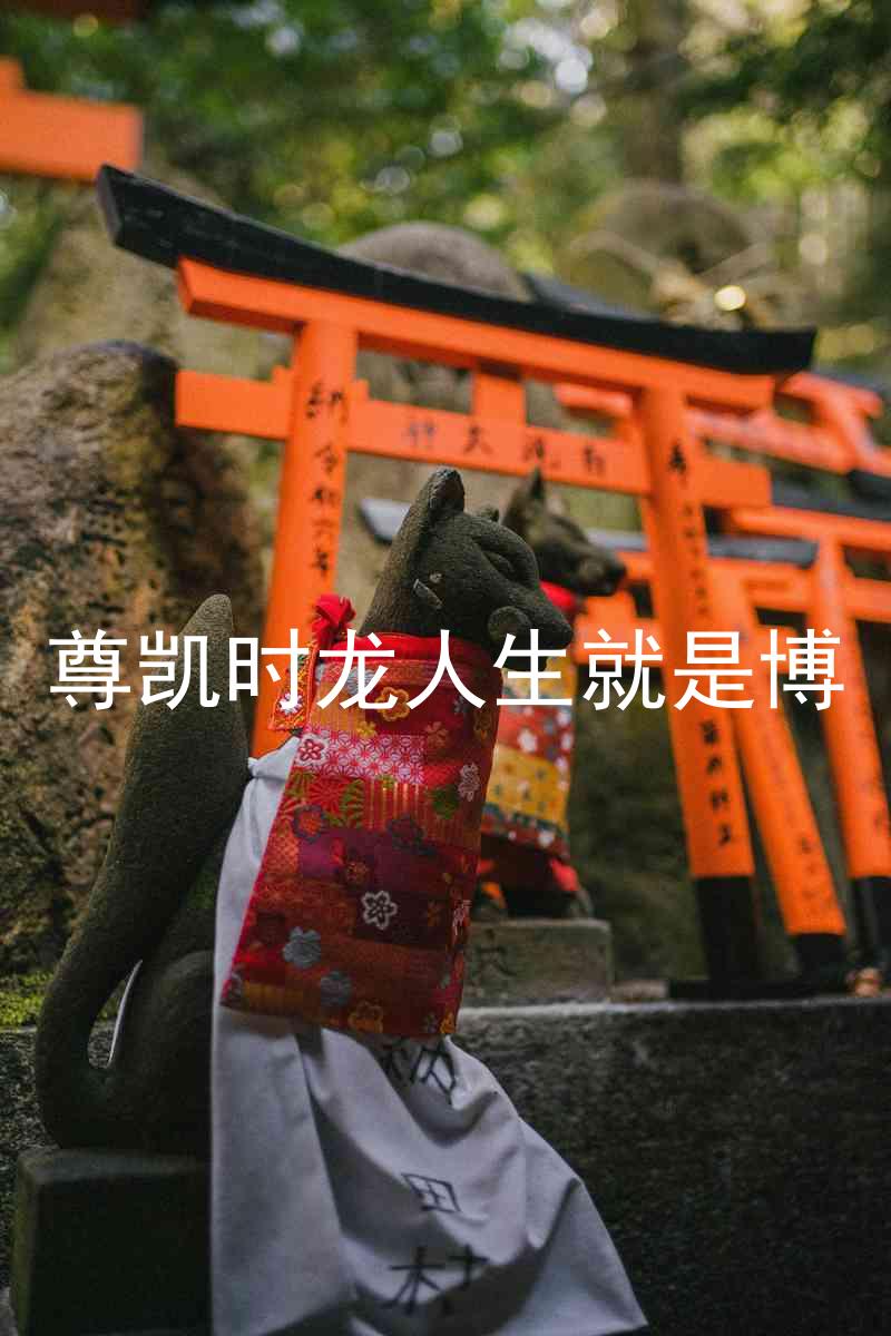 尊凯时龙人生就是博