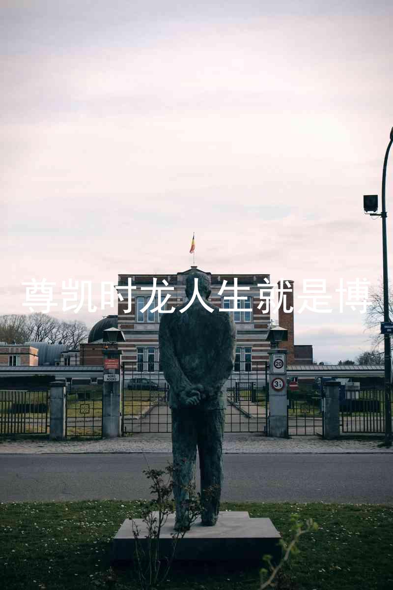 尊凯时龙人生就是博