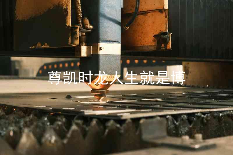 尊凯时龙人生就是博