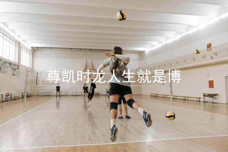 尊凯时龙人生就是博