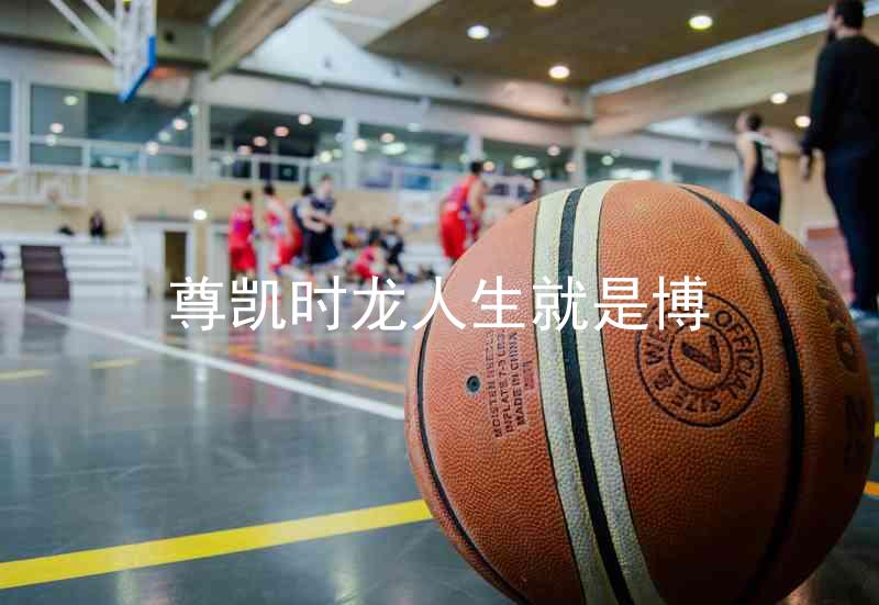 尊凯时龙人生就是博