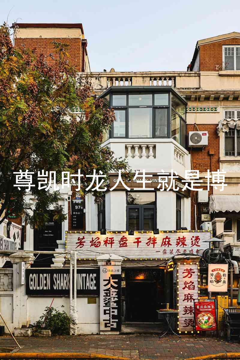 尊凯时龙人生就是博